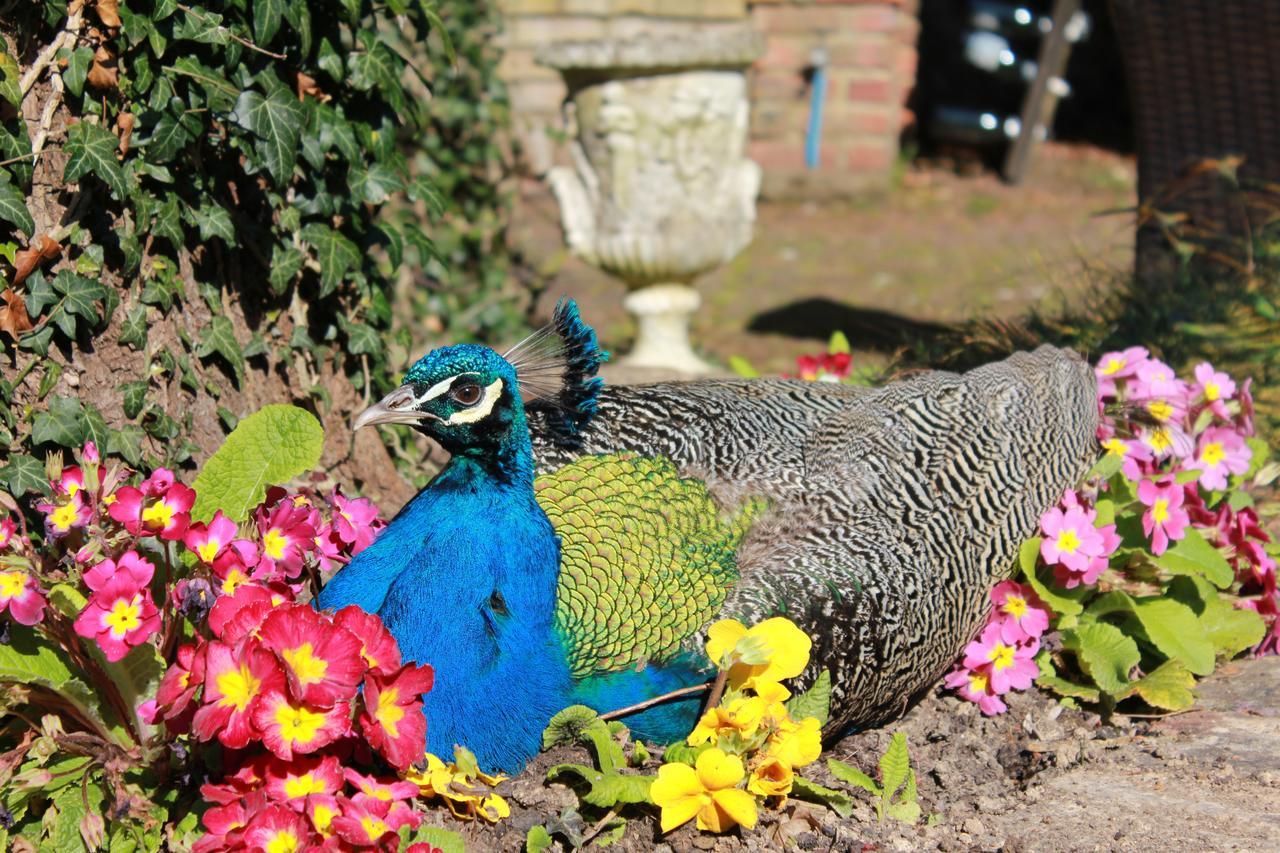 Powdermills Country House Hotel Battle Exteriör bild